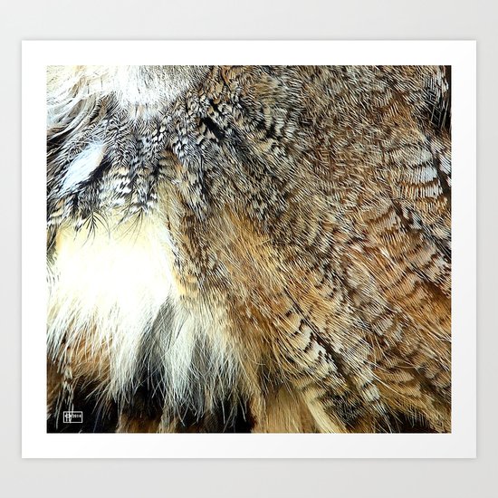 Owl Feathers Art Print