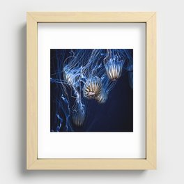 Jellyfish swimming Recessed Framed Print
