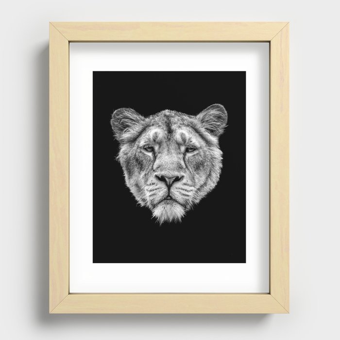 Lioness Head in Black and White Recessed Framed Print