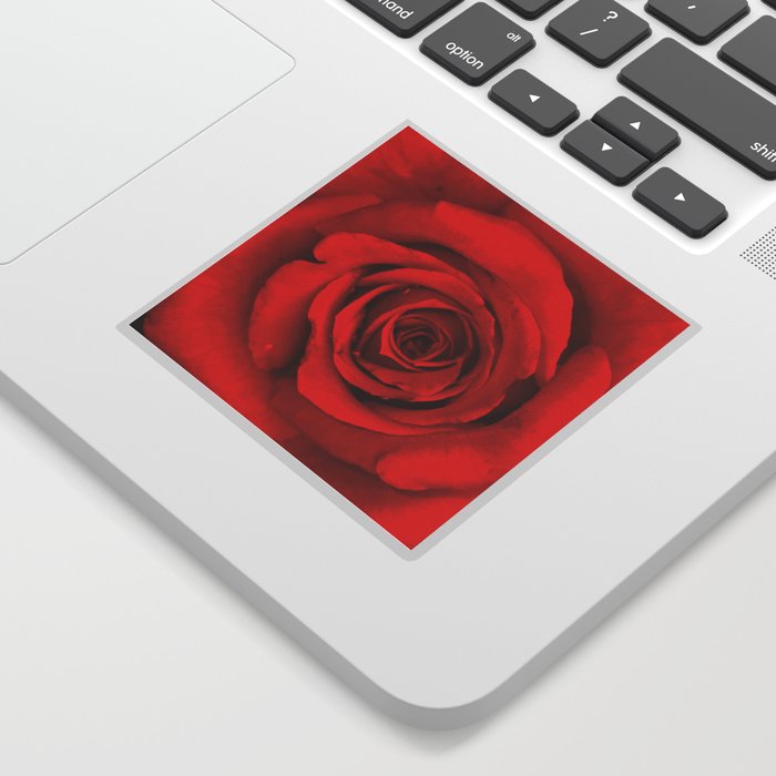 Lovely Red Rose Sticker
