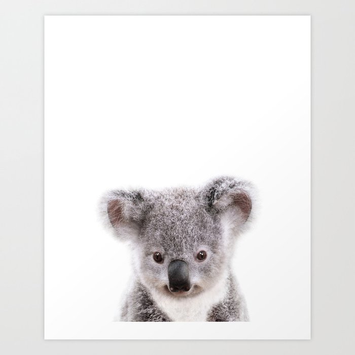 Baby Koala, Art for Kids, Nursery Art, Baby Animals Art Print By