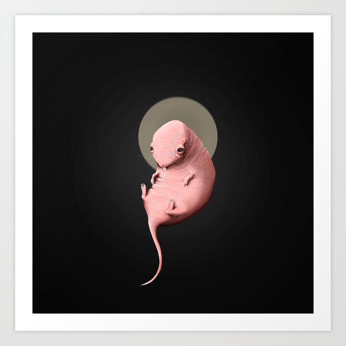 holy moly naked mole-rat Art Print