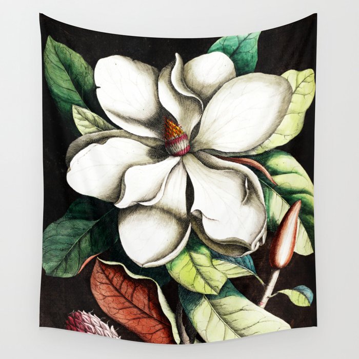 Magnolia by Mark Catesby Wall Tapestry