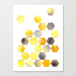 Beehive Pattern Canvas Print