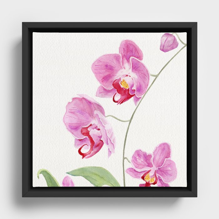 Framed Canvas