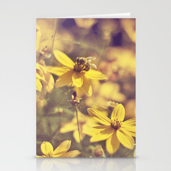Summer  Bee Stationery Cards