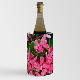 Mexico Photography - Pink Flowers Surrounded By Leaves Wine Chiller