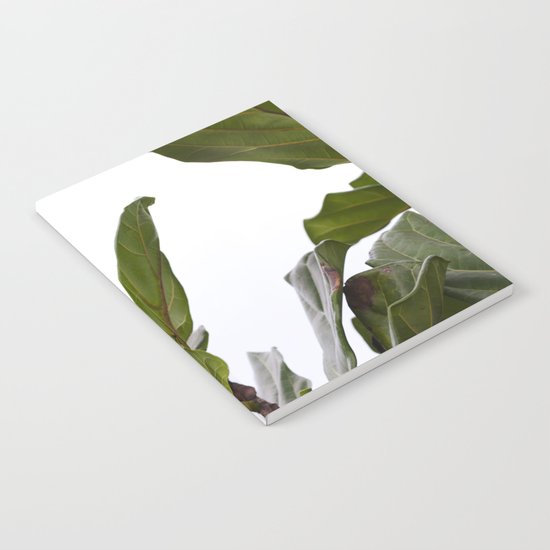 Fiddle Leaf Fig The Houseplant Collection Notebook By