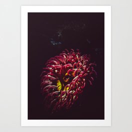Aqua Flower Art Print