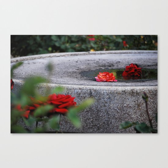 rose Canvas Print
