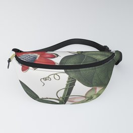 The Winged Passion-Flower illustration Fanny Pack