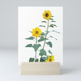 Native Southwest Sunflowers Mini Art Print