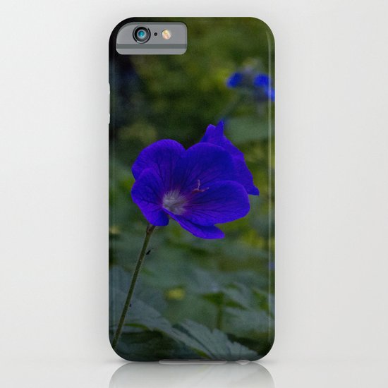 Summer Purple flowers iPhone & iPod Case