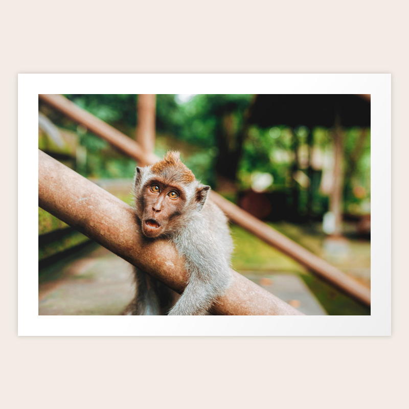 Cute Monkey Color Art Print