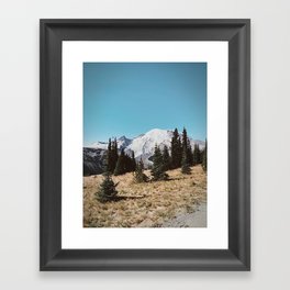 Summer at Mt Rainier Framed Art Print