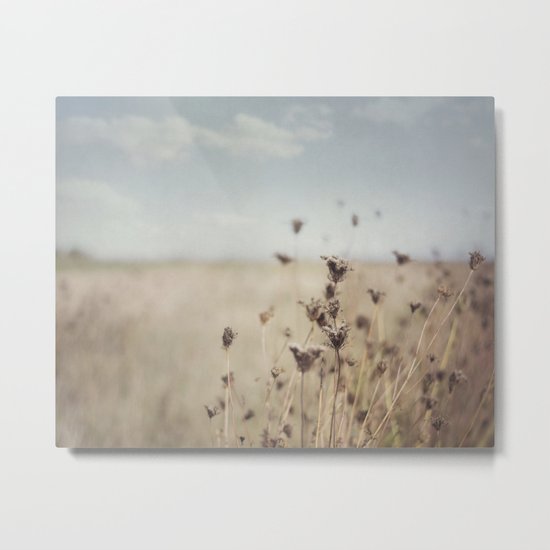 Fall Field Metal Print
