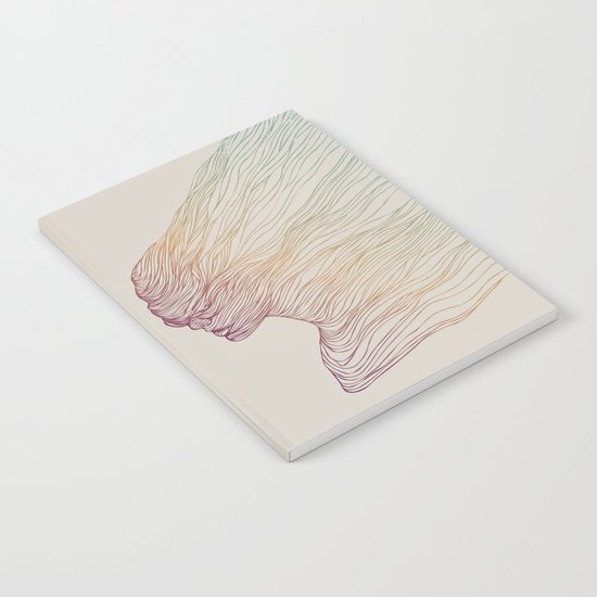 FADE Notebook
