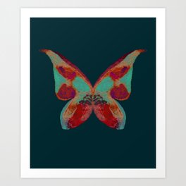 Mariposa  Art Print