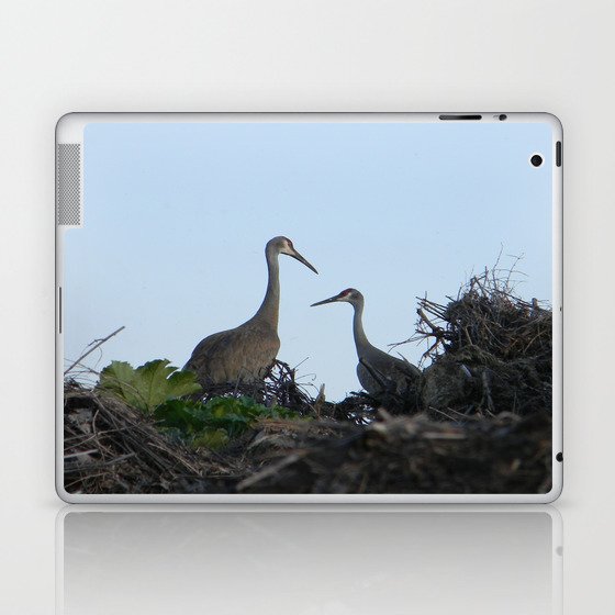 Sandhill Crane pair Laptop & iPad Skin