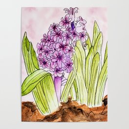 Purple Hyacinth Poster