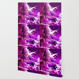 Cannabis Buds Under Pink LED Wallpaper