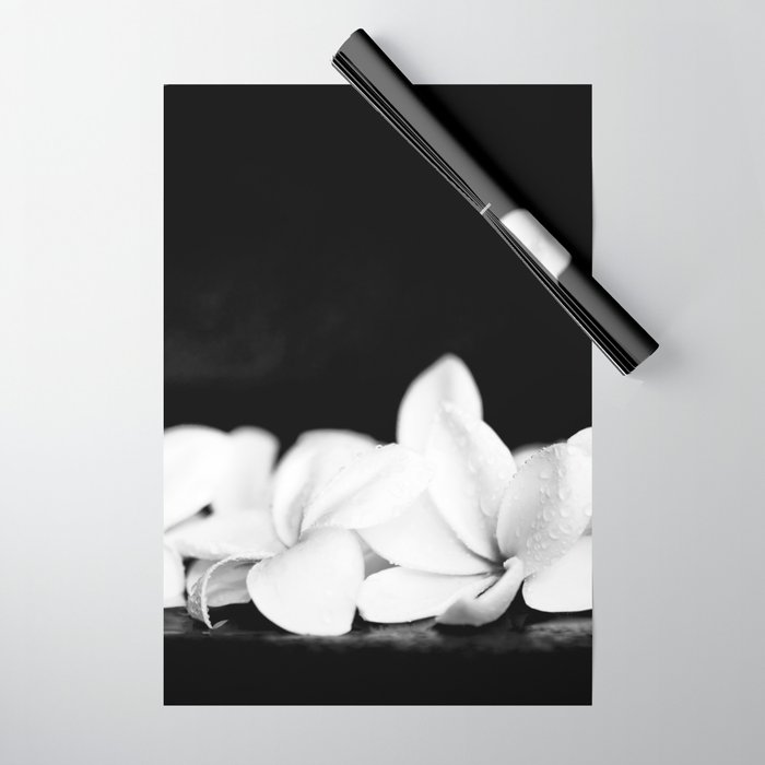 Singapore White Plumeria Flowers the Fragrance of Hawaii Wrapping Paper