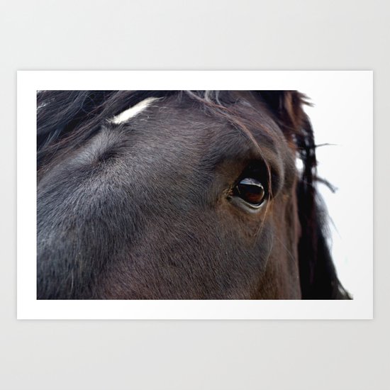 Through Her Eyes Art Print