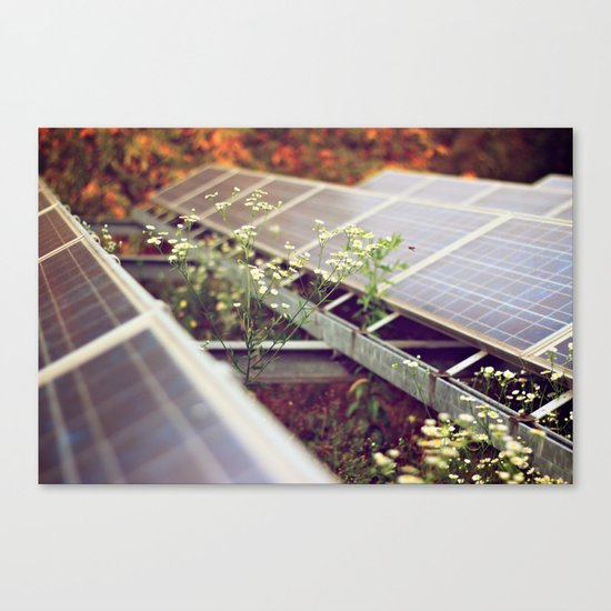 Bee & Sun, Berlin Canvas Print