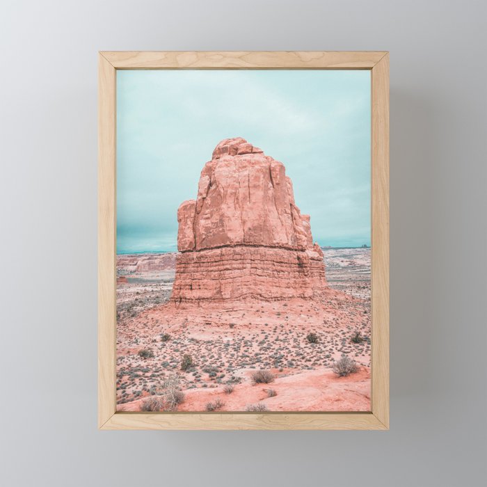 Sonoran Desert Framed Mini Art Print