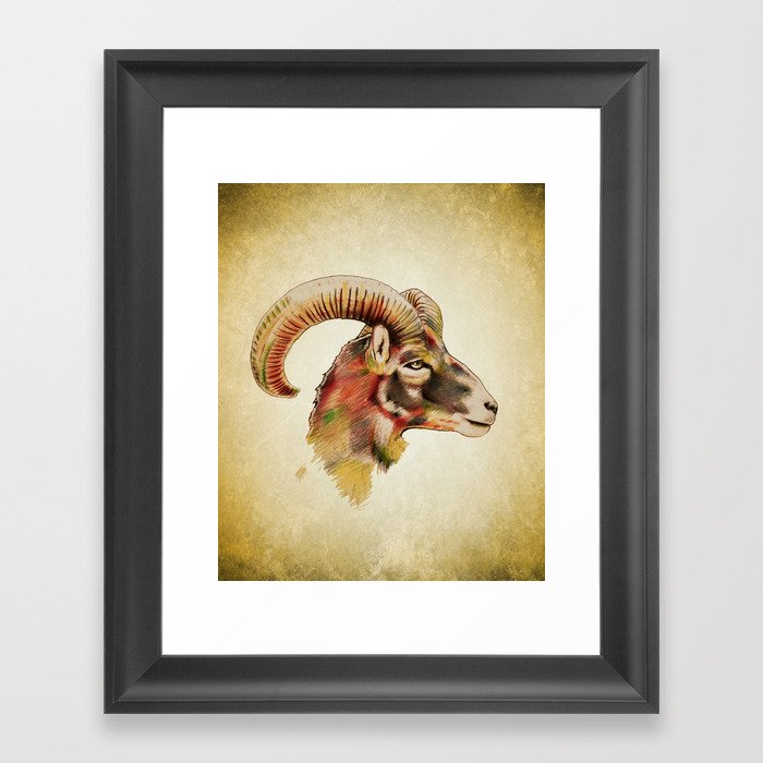 Antelope Framed Art Print