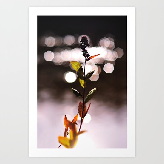 Vixen Art Print