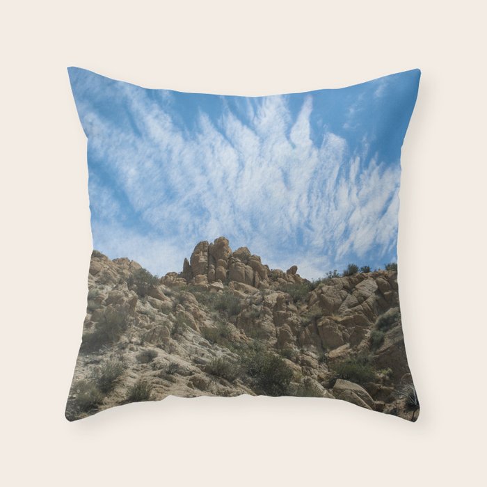 Throw Pillow