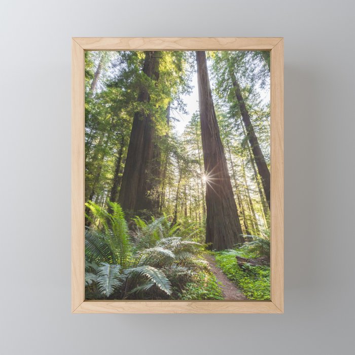Framed Mini Art Print