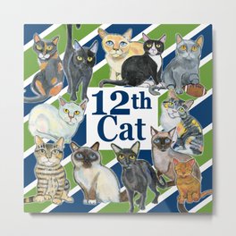 12th Cat Metal Print