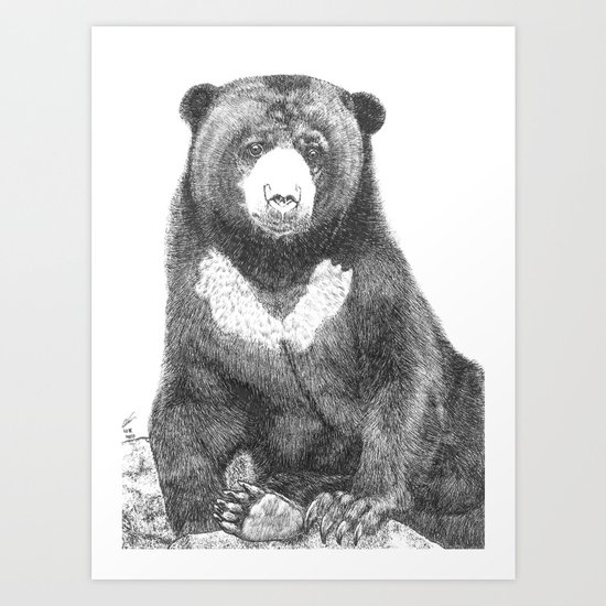 Malayan Sun Bear (Beruang Madu) Art Print