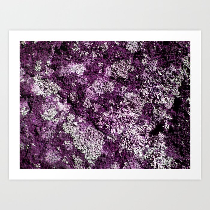 Purple Moss Art Print
