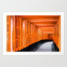 Senbon Torii, Fushimi Inari-Taisha shrine, Kyoto #2 Art Print