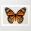 Monarch Butterfly | Vintage Butterfly | Kunstdrucke