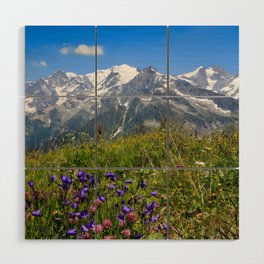 flowers • mountains • tops • France • Savoie • Massif du Beaufortain Wood Wall Art