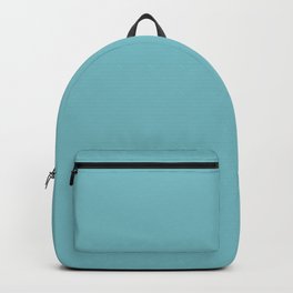 Medium Aqua Gray Solid Color Pantone Leisure Time 14-4815 TCX Shades of Blue-green Hues Backpack