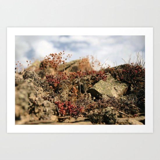 Soul Nature Art Print