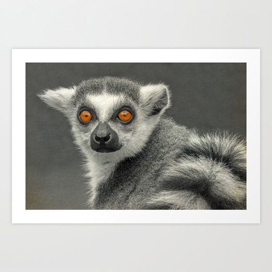 LEMUR PORTRAIT Art Print