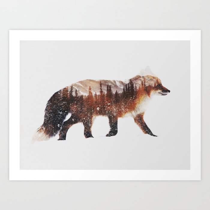 Arctic Red Fox Art Print