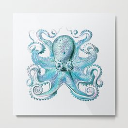 Vintage marine octopus - blue teal Metal Print