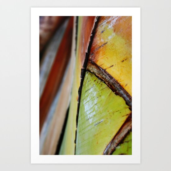Abstract Palm 2 Art Print