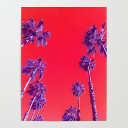 Infrared Palm Trees Poster