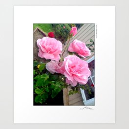 ZFLOWERS 264 Art Print