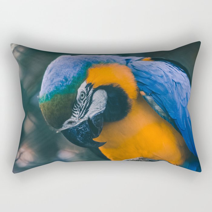 Brazil Photography - Blue And Yellow Macaw Parrot Rectangular Pillow