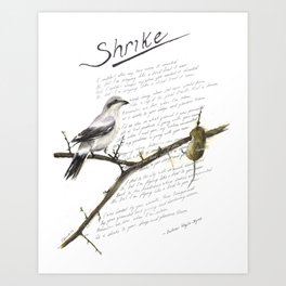 Hozier - Shrike Lyric Art Art Print