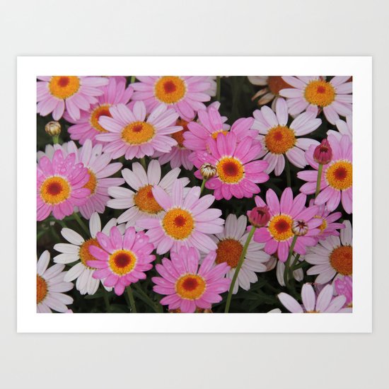 Petals, Petals, Petals Art Print